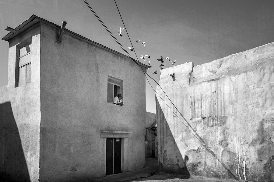 Untitled